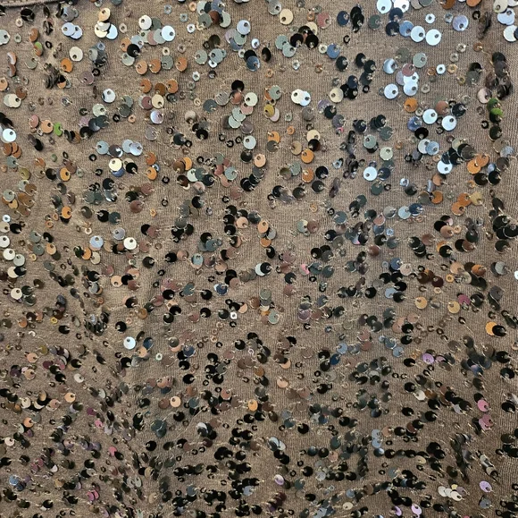 Sparkly Top ✨️🤩 - Picture 3 of 7